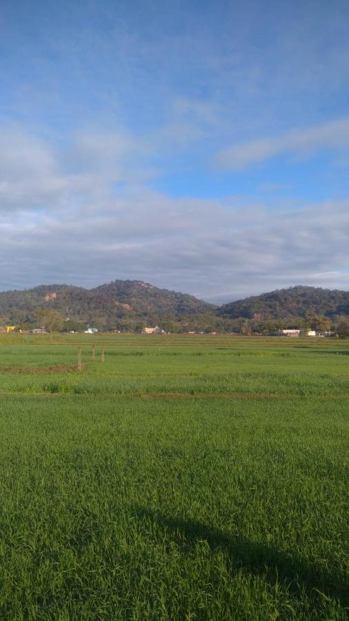 Corbett Bhavesh Home Stay Jhirna ภายนอก รูปภาพ