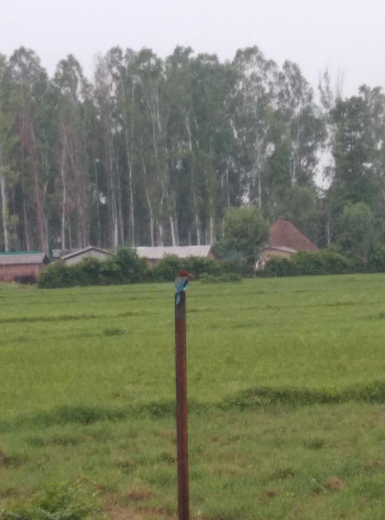 Corbett Bhavesh Home Stay Jhirna ห้อง รูปภาพ